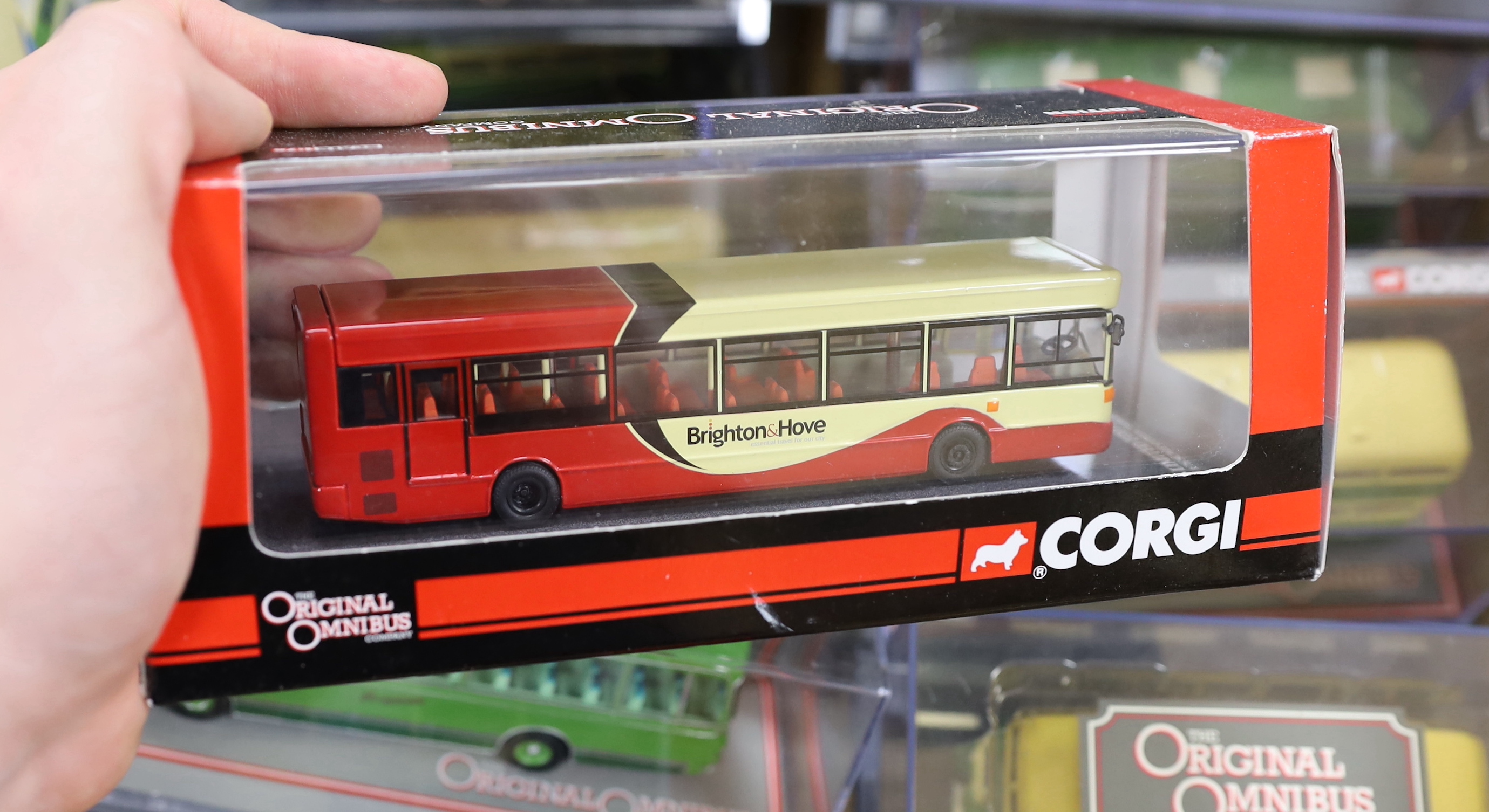 A collection of Creative Master, Corgi OOC and Corgi buses and coaches, all Brighton & Hove or Southdown liveries, (24)